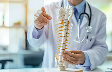 Tips For Maintaining Spine Health With A Busy Lifestyle